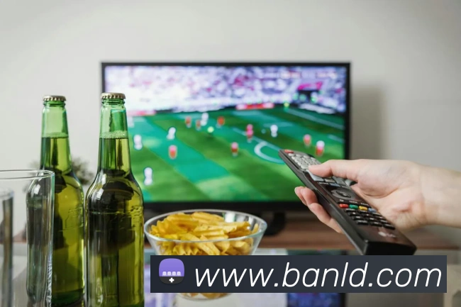 云手机网页版在线玩APP 封面图